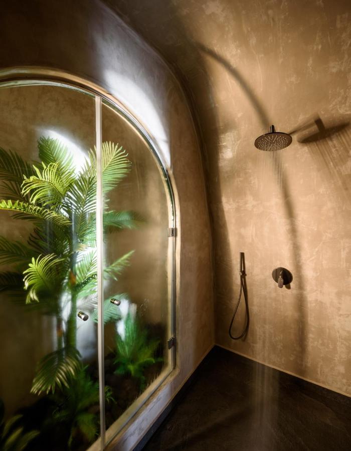 Lotus Cave Villa サントリーニ エクステリア 写真